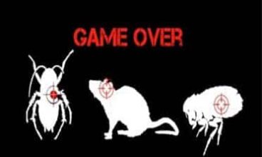GAME OVER à Roanne
